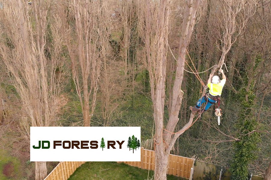 J D Forestry video production still